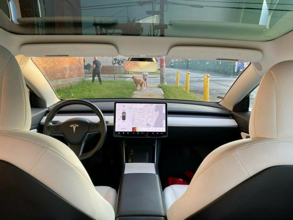 Mint 2018 Tesla Model 3 AWD Performance Long Range Autopilot